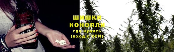 дмт Володарск
