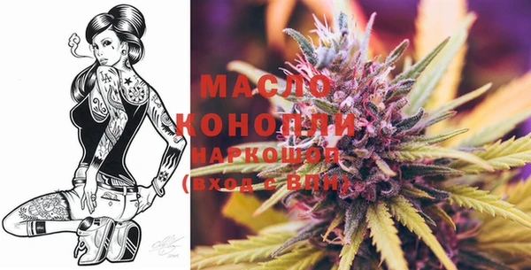 дмт Володарск