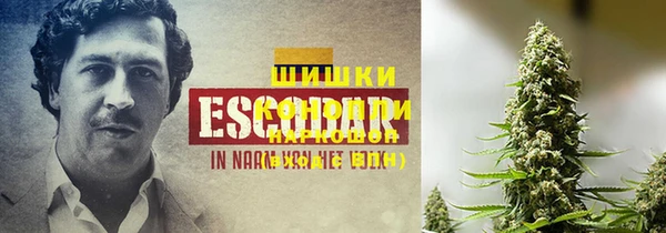 дмт Володарск